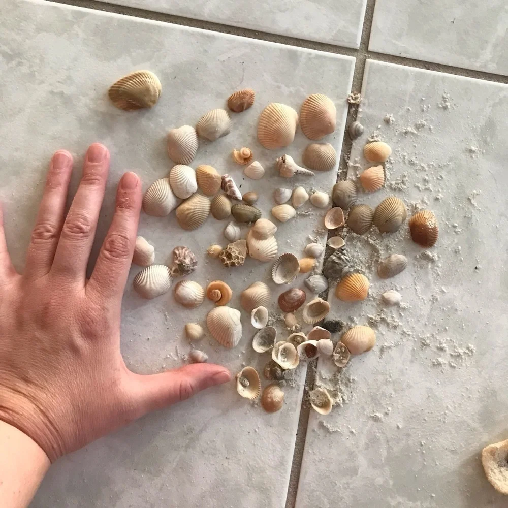 Custom shell bundle — PLEASE READ - Picture 3 of 16